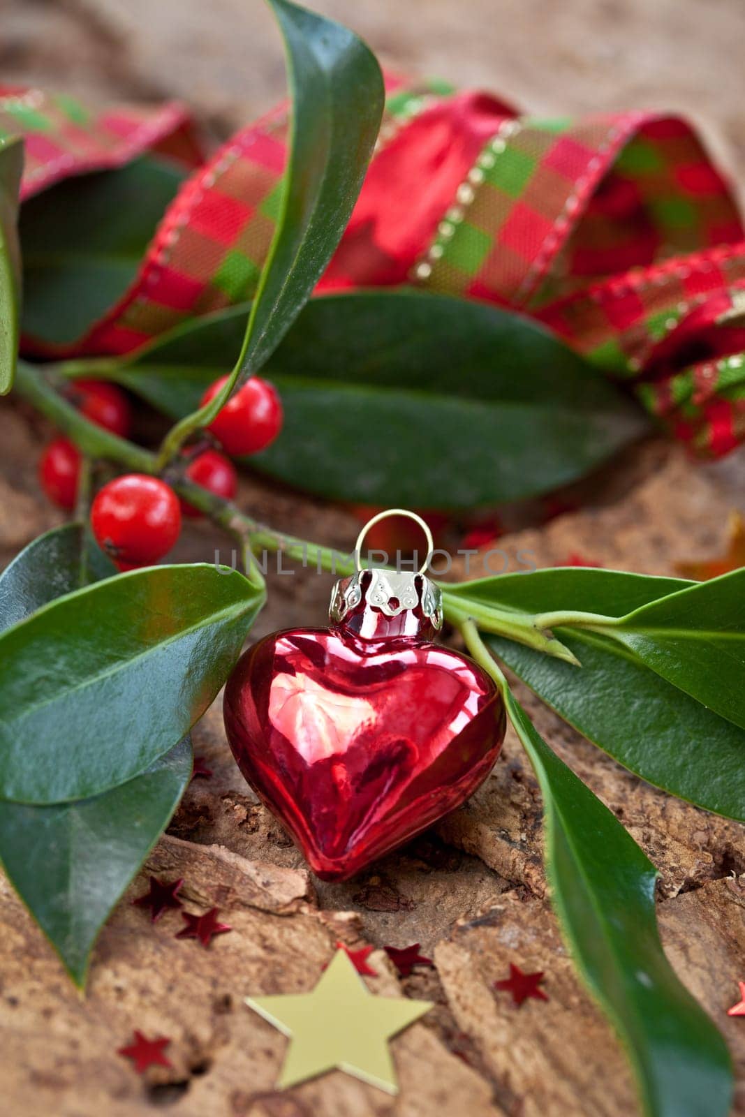 Decoration in red and gold for Christmas on fir branches