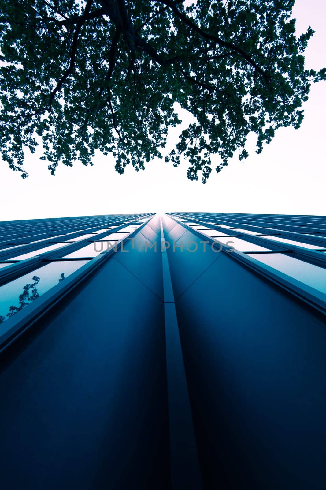 office buildings.  Modern glass building exterior