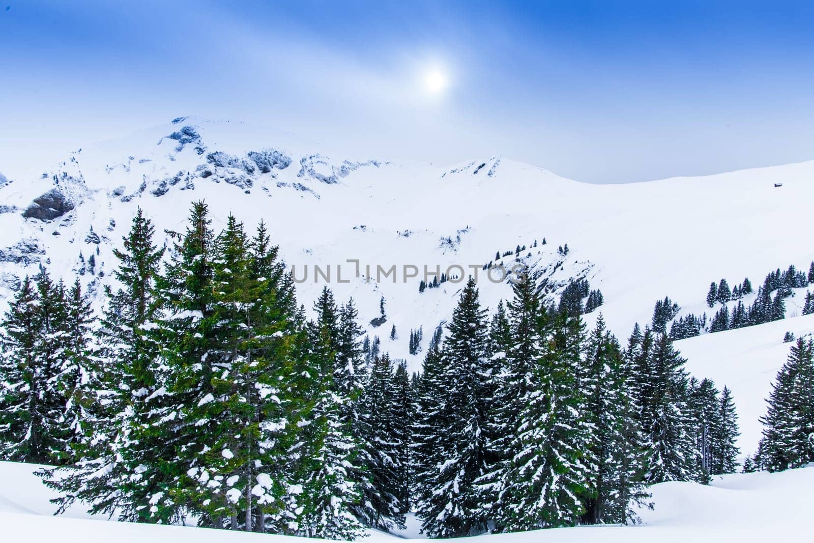 Beautiful winter landscape with snow covered trees