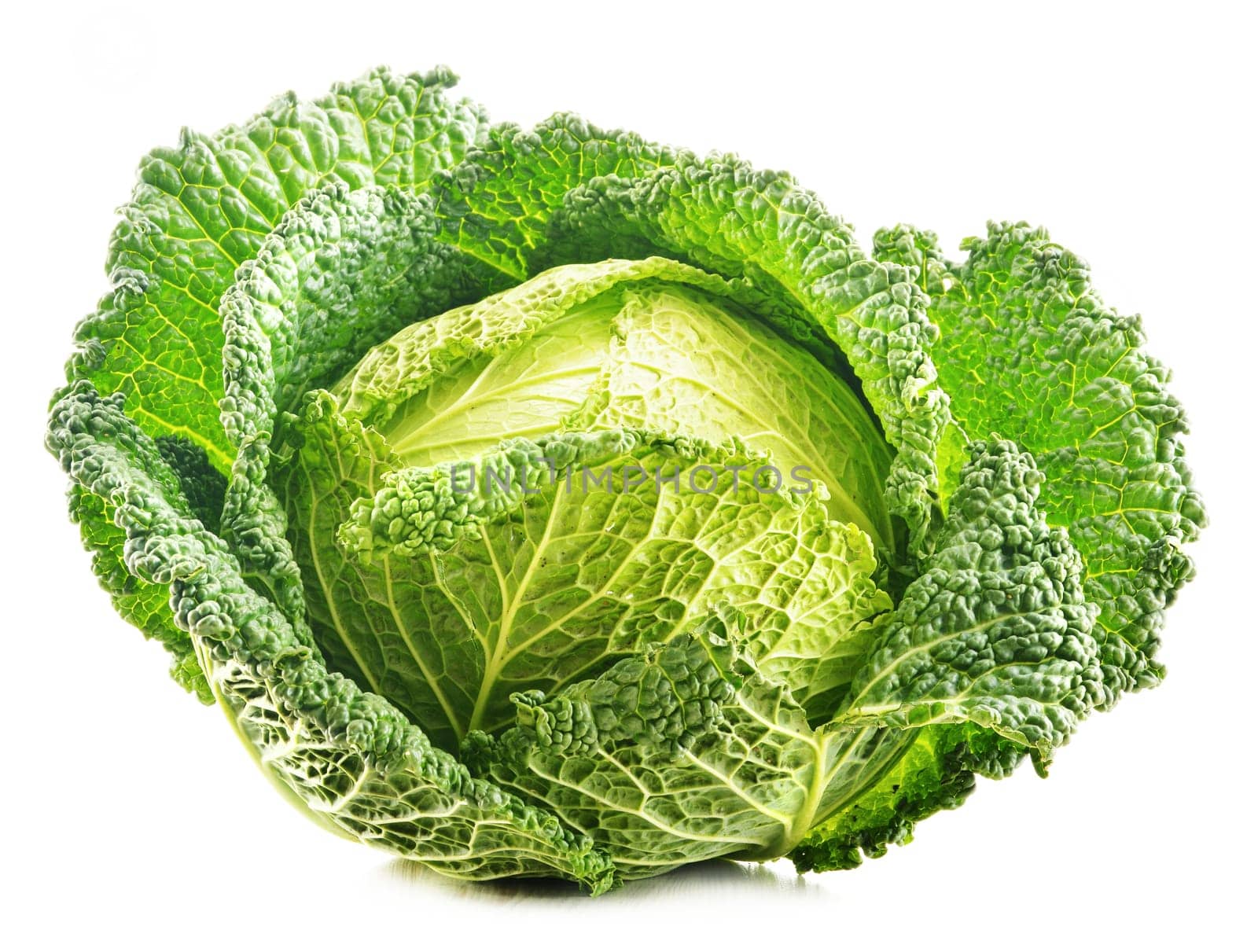 Fresh raw cabbage isolated on white background