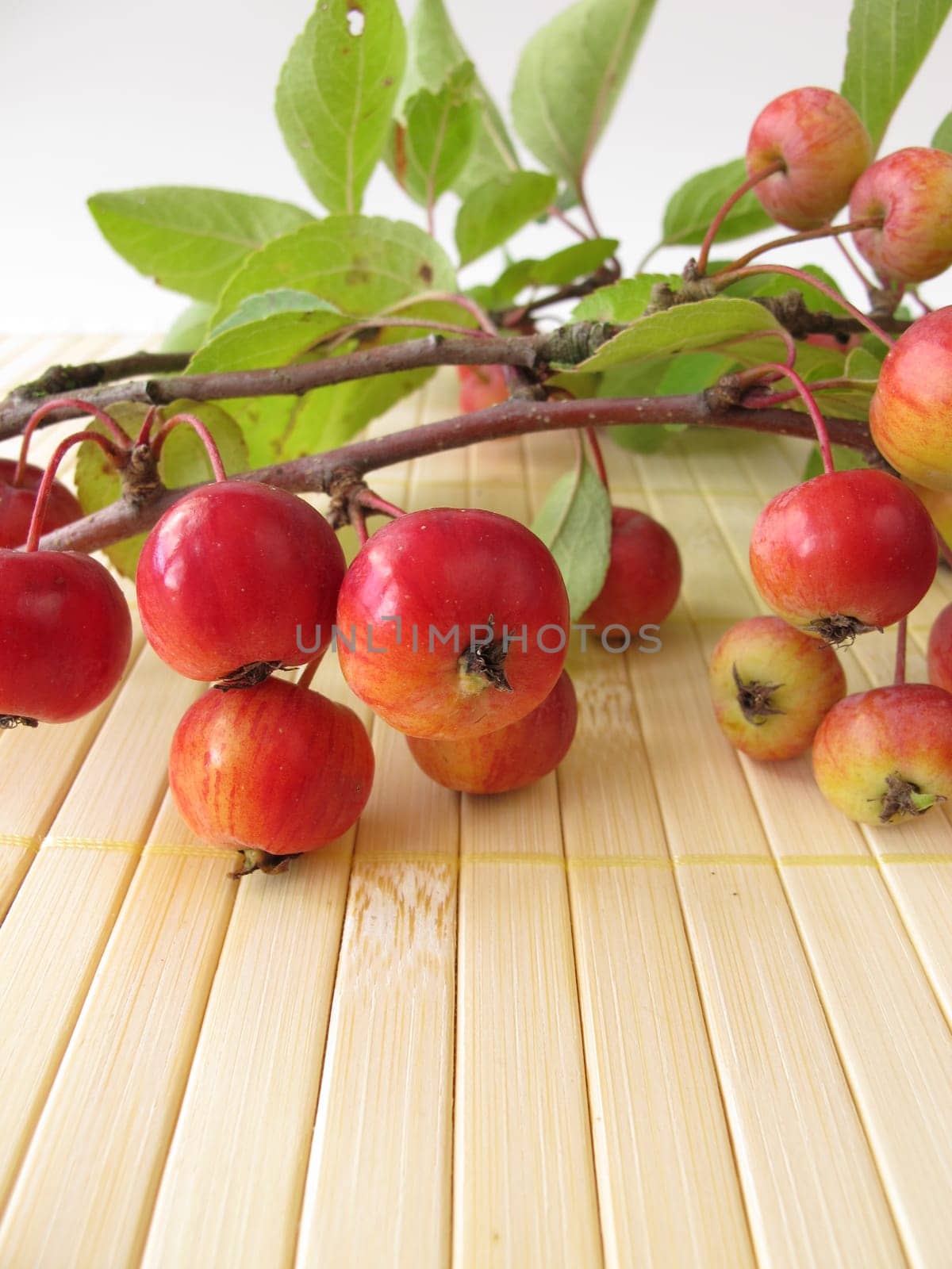 Autumn decoration with ornamental apples