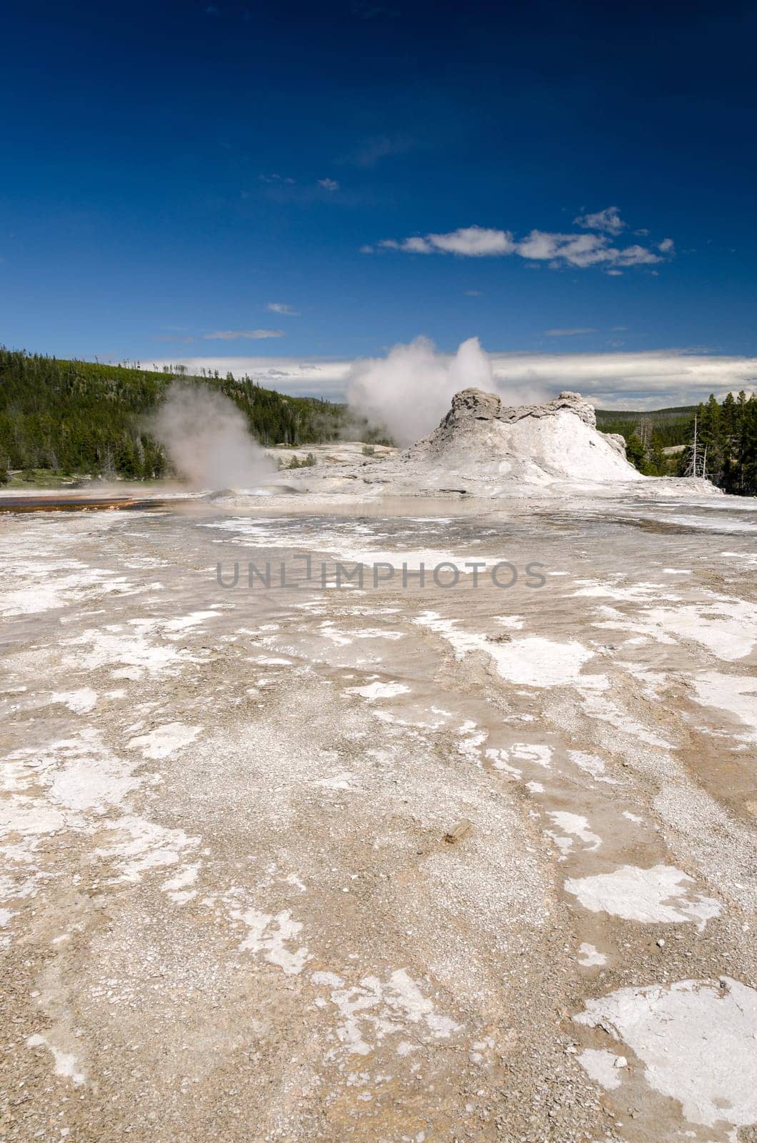 geyser in Yellowstone National Park