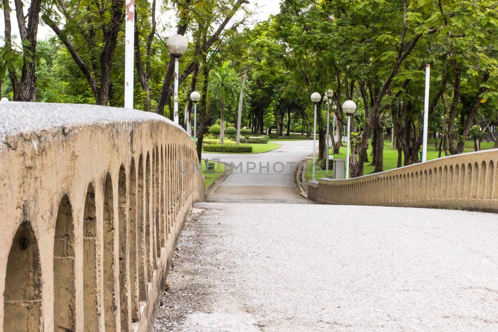Sidewalk in garden