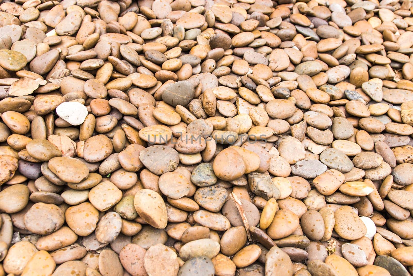 River Stone Background