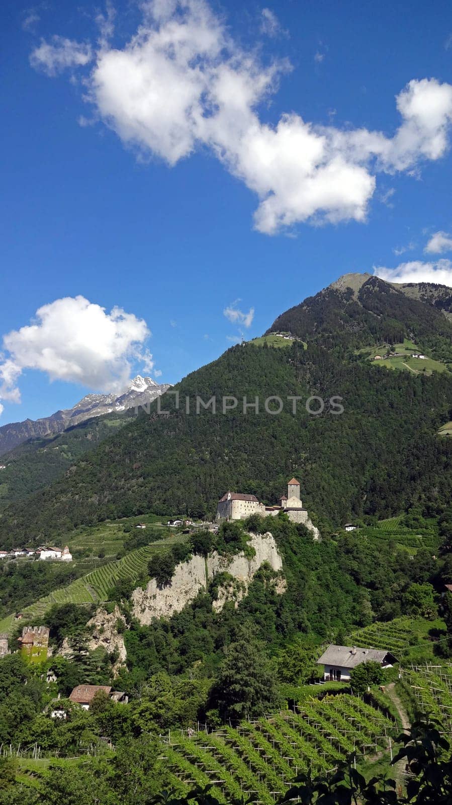 Tyrol Castle with Mutspitze,South Tyrol