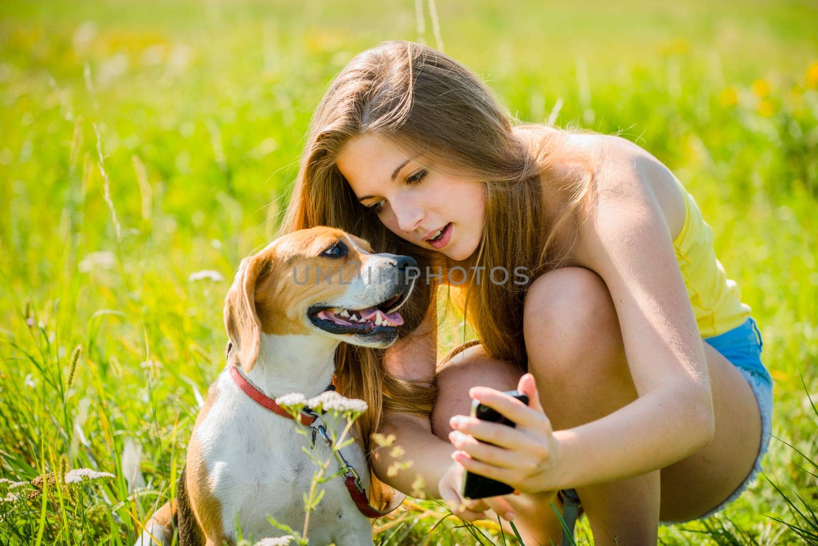 Teen girl showing something to her dog on smart-phone, outdoor in nature