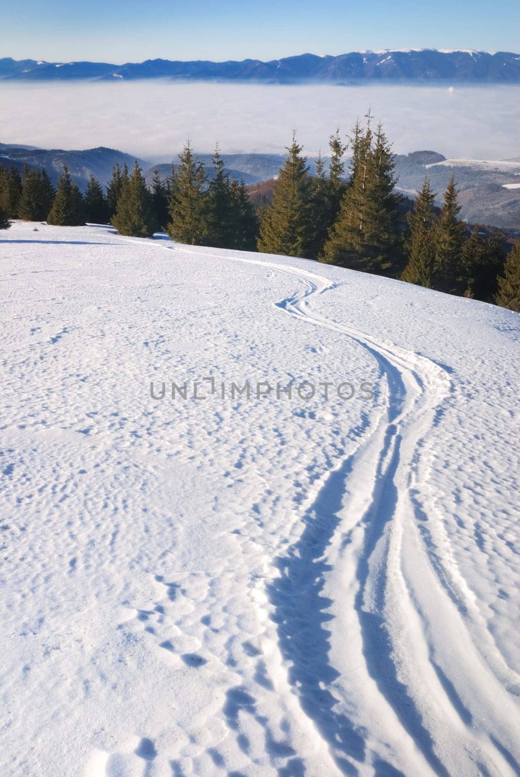 The large flat snow area in the mountains with ski track in free snow