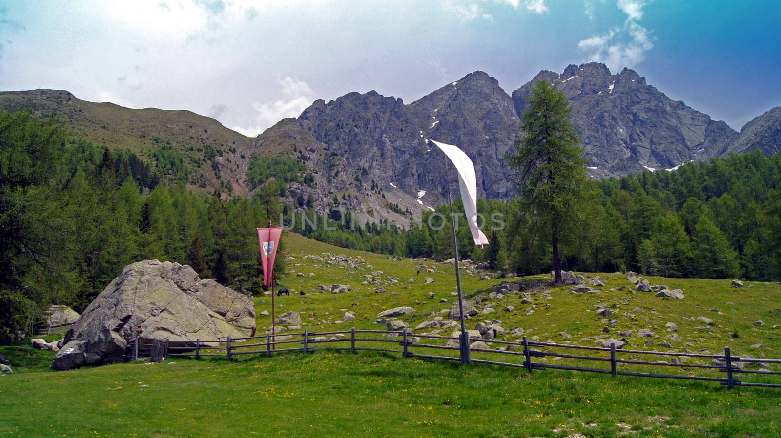 Alpine meadows in the Sarentino Alps,South Tyrol