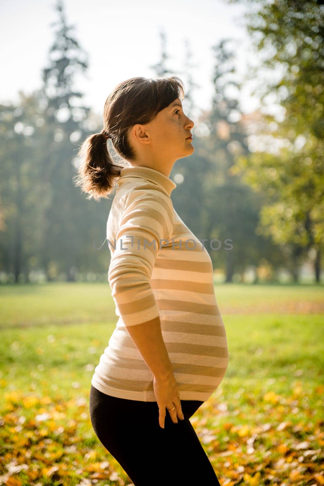 Fitness pregnant woman exercising outsidein autumn nature