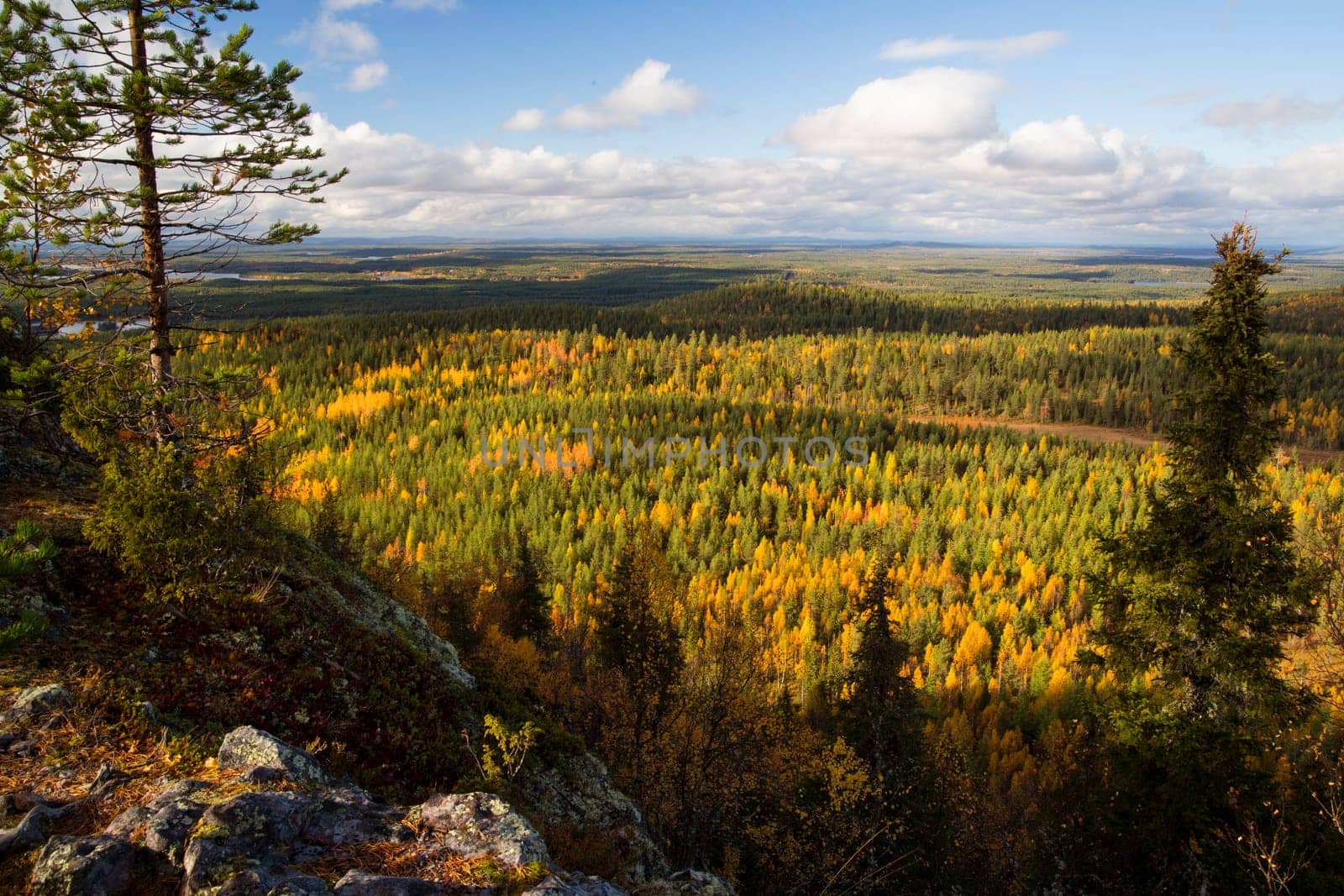 Nice view over autumn forest from rocky mountain