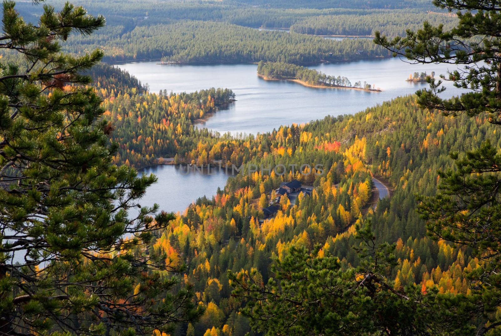 Cottage hided in forest between lake and road