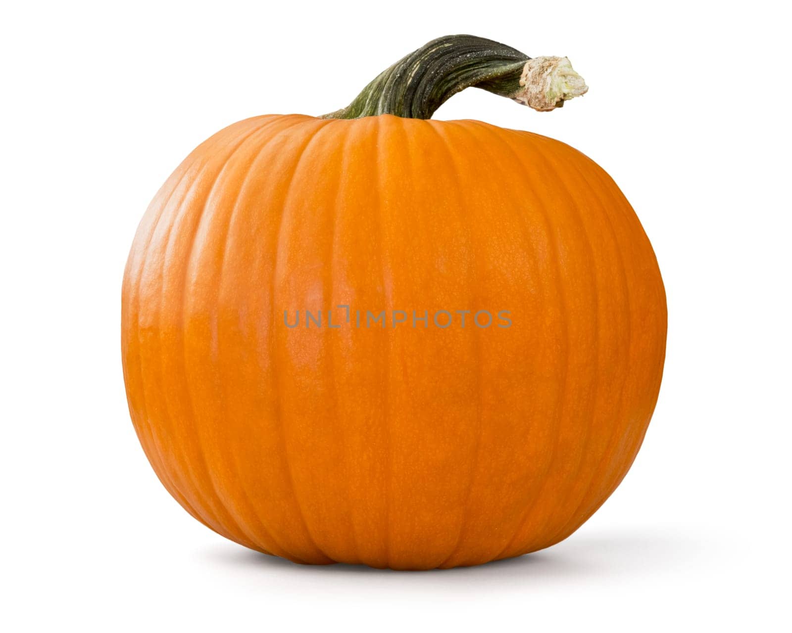 pumpkin over white background