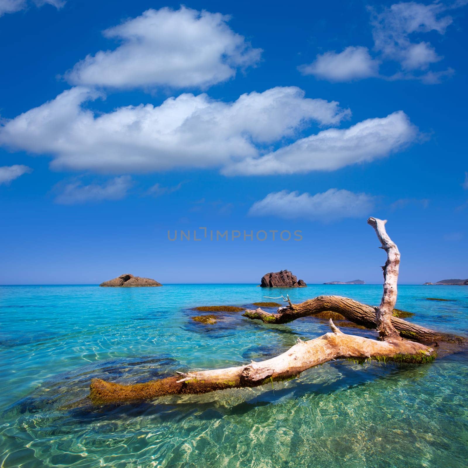 Ibiza Aigues Blanques Aguas Blancas Beach at Santa Eulalia Balearic Islands of spain