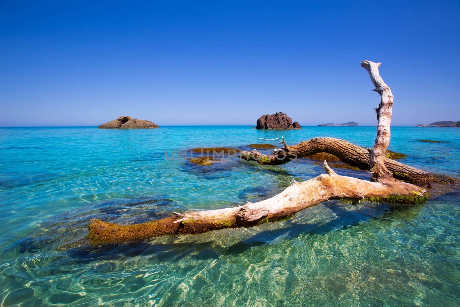 Ibiza Aigues Blanques Aguas Blancas Beach at Santa Eulalia Balearic Islands of spain