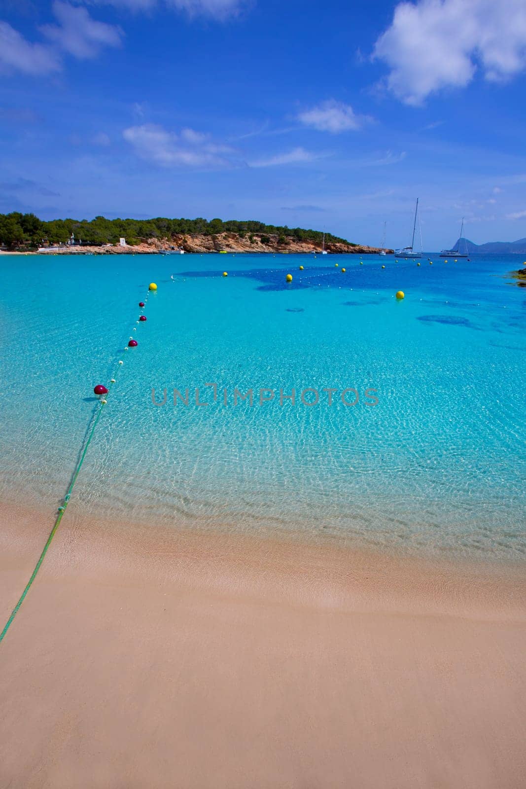 Ibiza Cala Bassa beach with turquoise Mediterranean sea at Balearic Islands