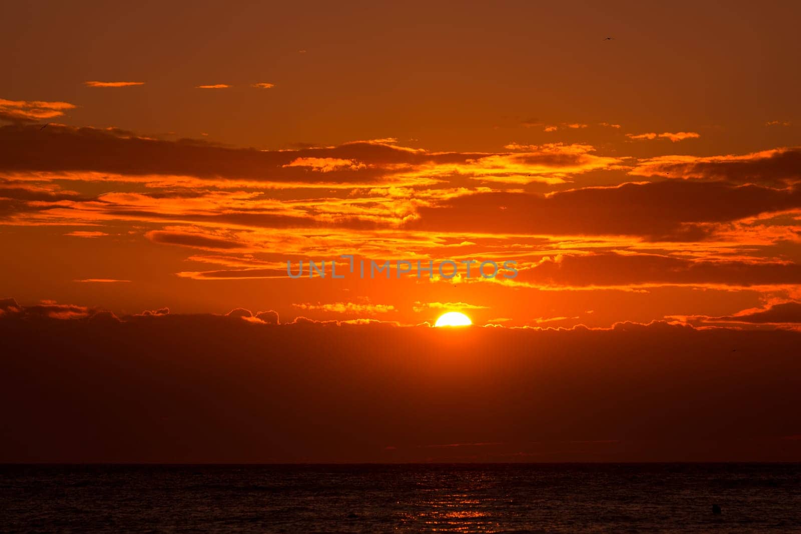 Sunset orange sky background at evening over sea with clouds