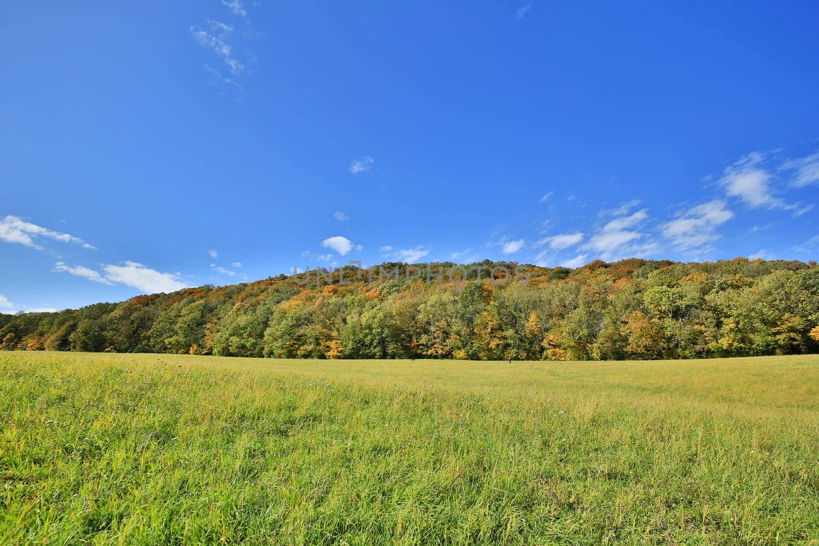 Landscape in autumn,colorful forest shot with HDR