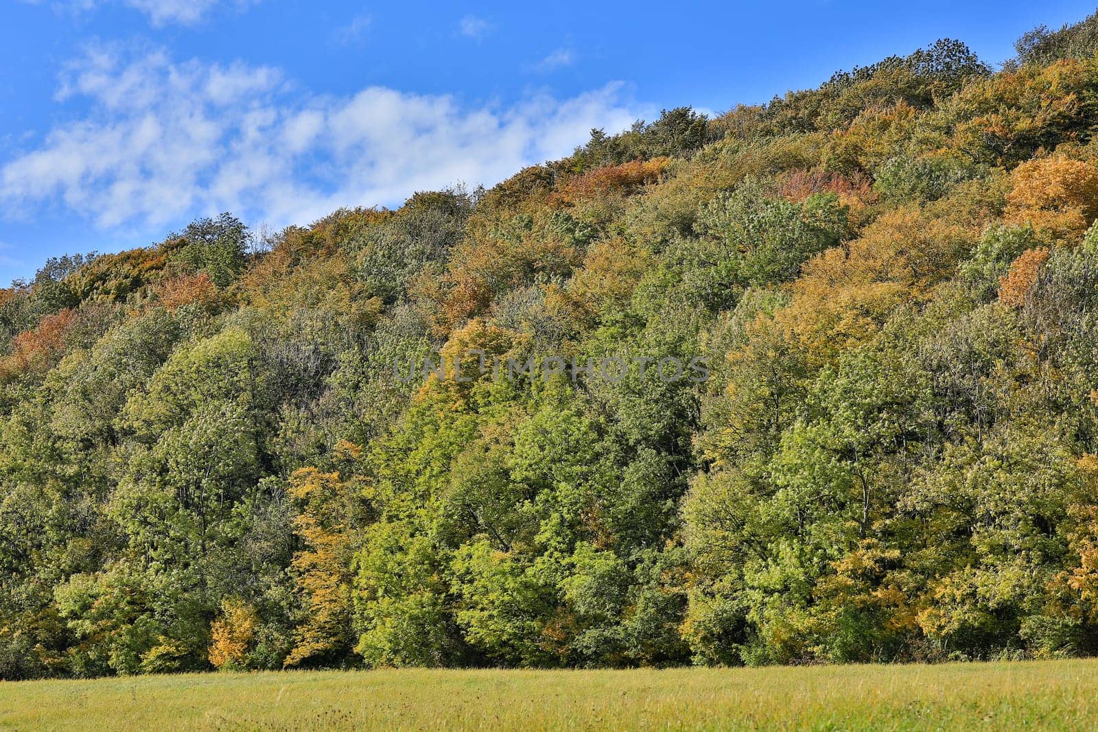 Landscape in autumn,colorful forest shot with HDR