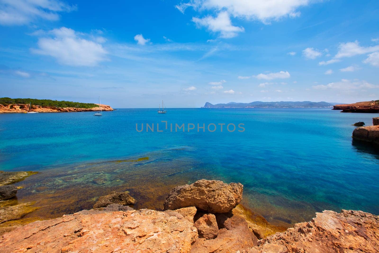 Ibiza Cala Bassa beach with turquoise Mediterranean sea at Balearic Islands