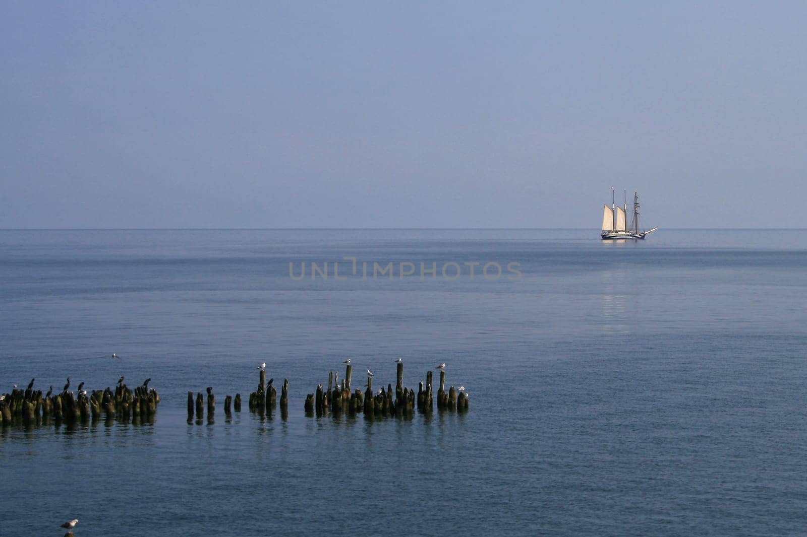 Sailing ship on the Baltic Sea coast of Usedom