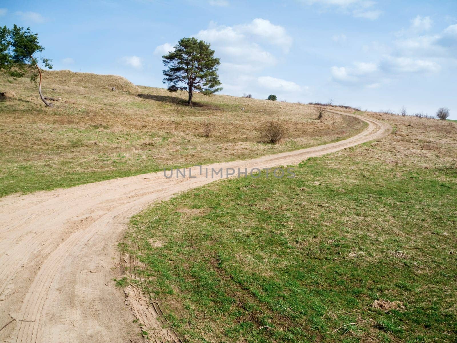 lonely sandy path in a hilly grassland with individual trees on the island of Usedom in summer