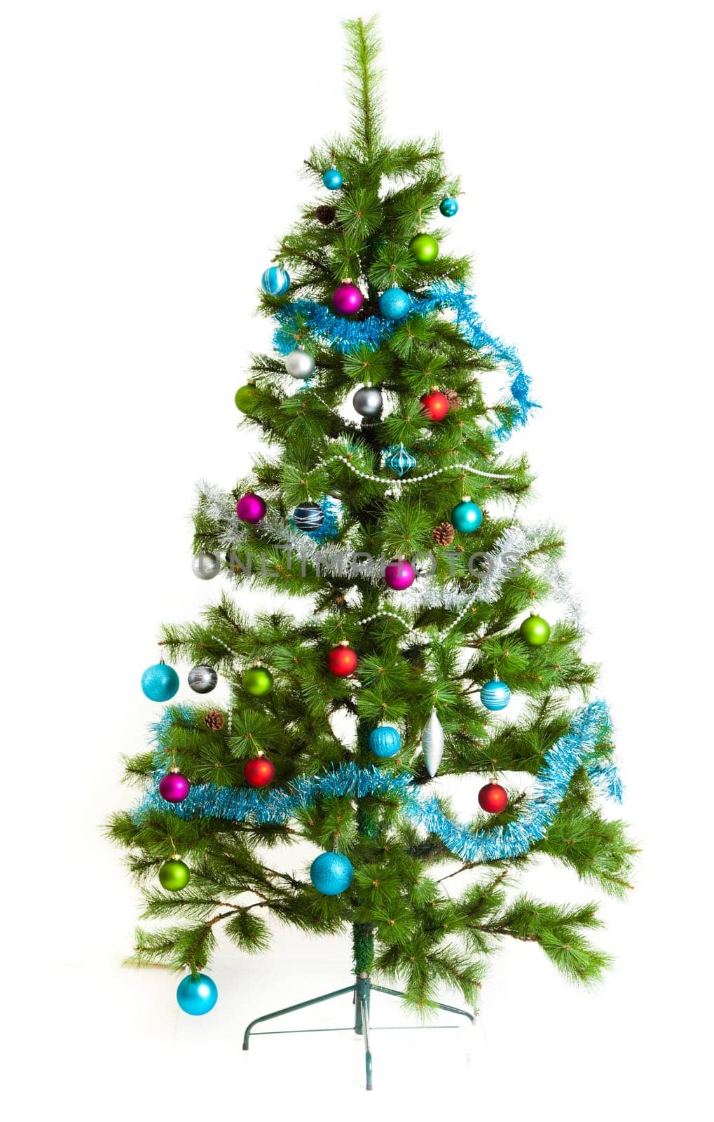 christmas tree isolated.