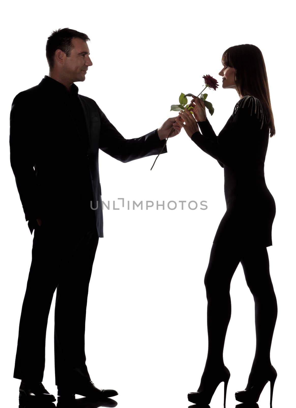 one caucasian lovers couple man offering rose flower and woman smelling in studio silhouette isolated on white background