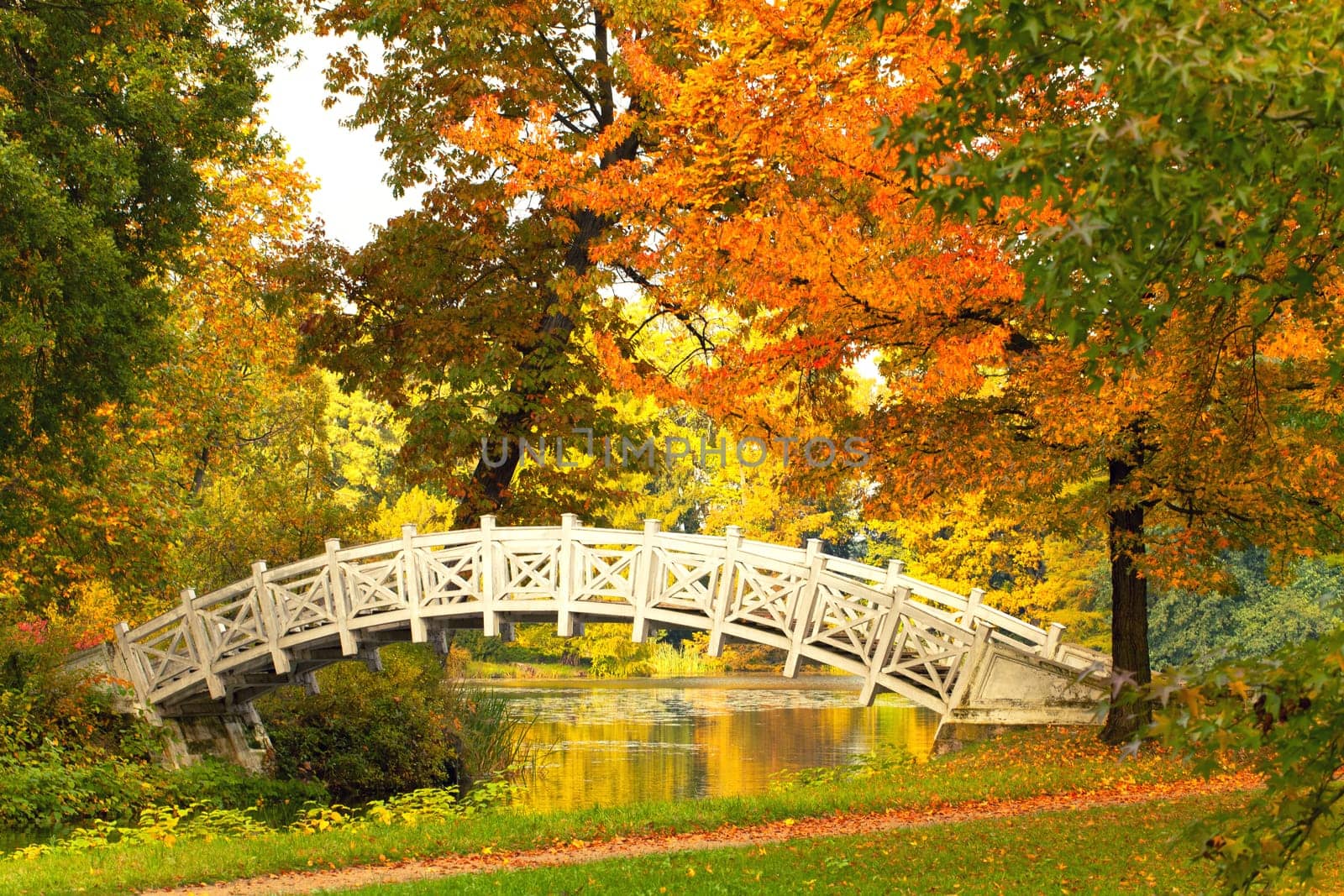 colourful autumn