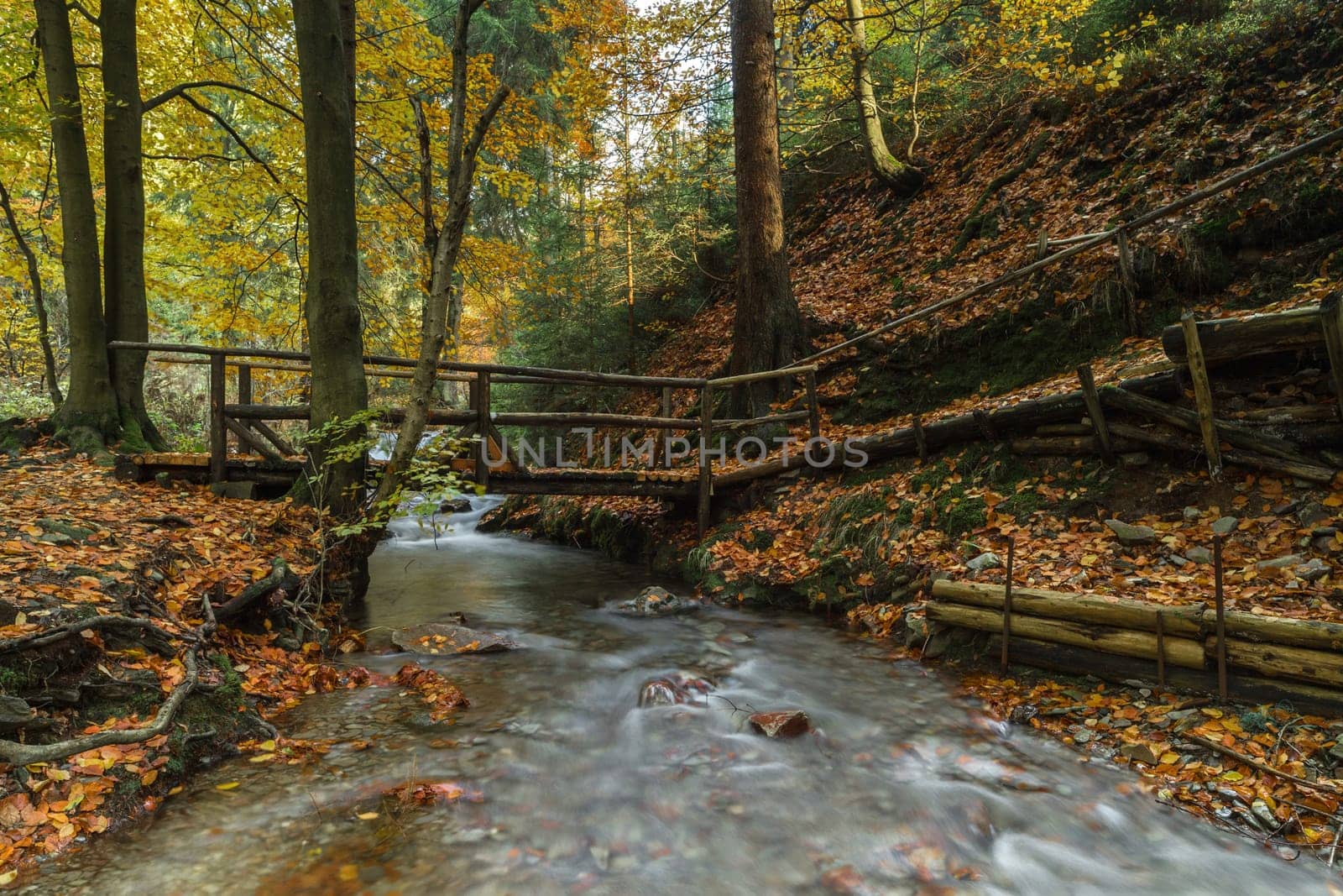 Torrent