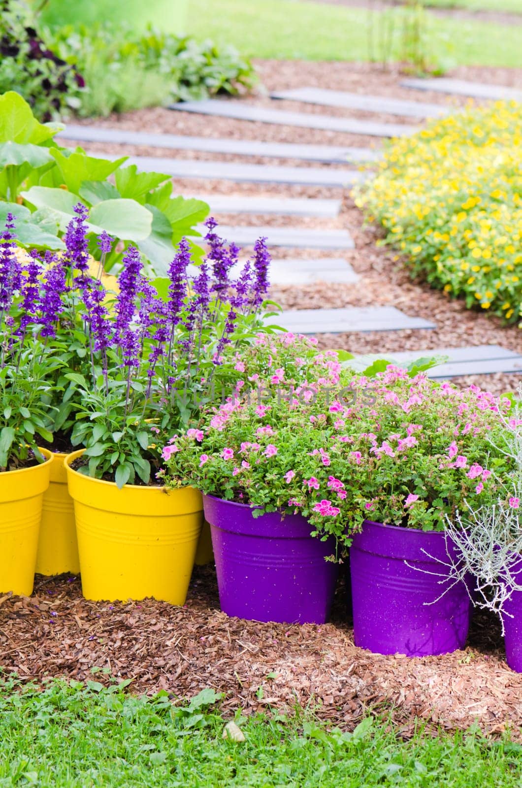 Large plant pots with flowers in the garden, close-up