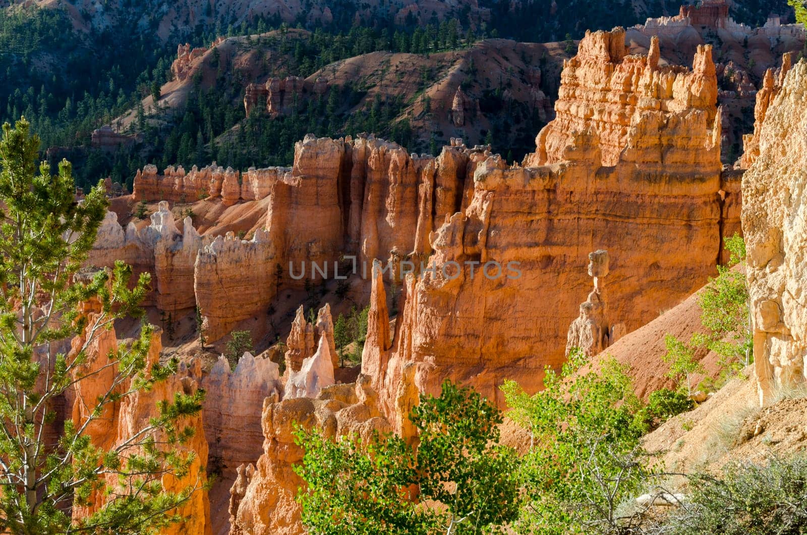 Bryce Canyon National Park in Utah in America