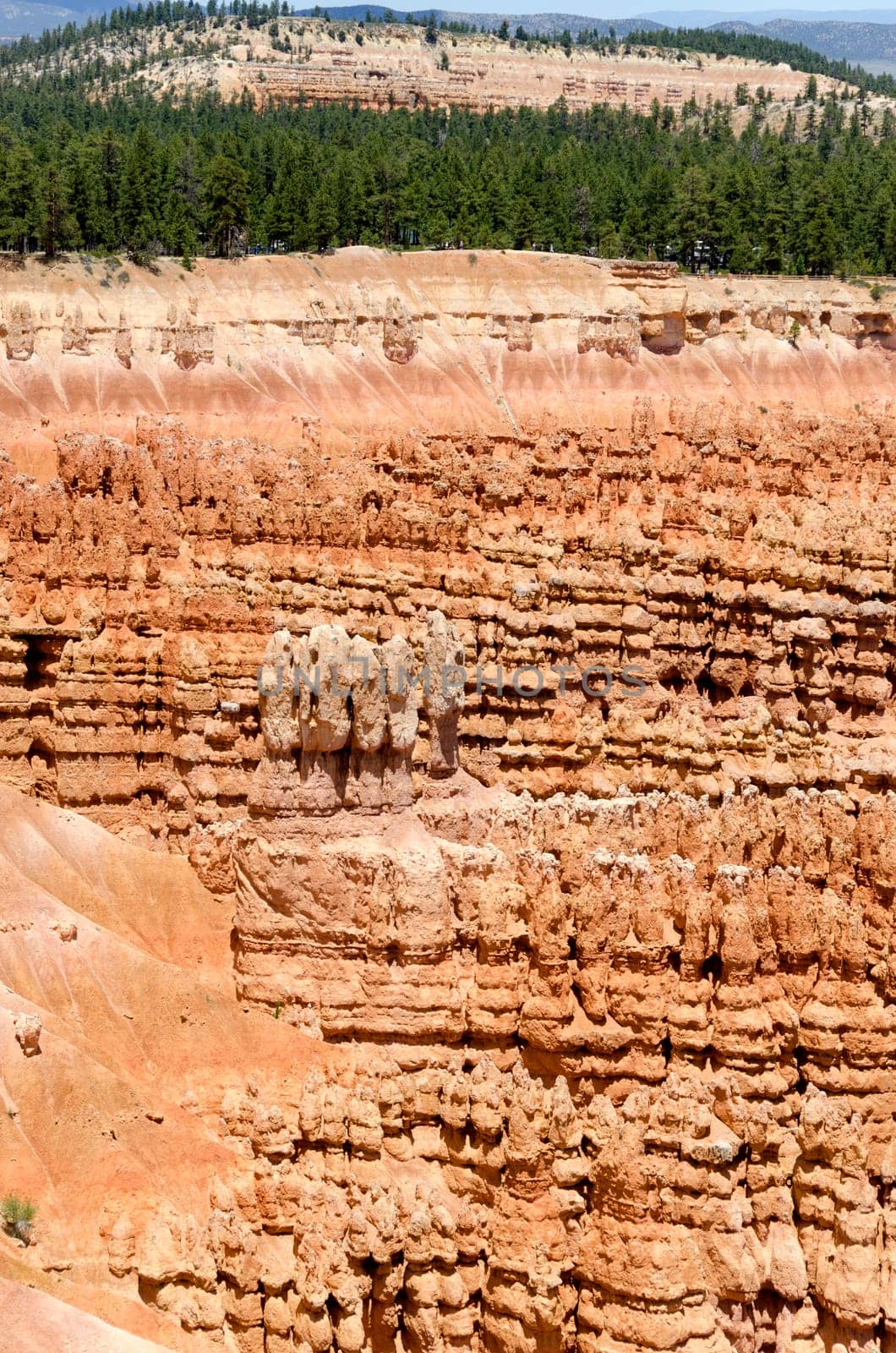 Bryce Canyon National Park in Utah in America