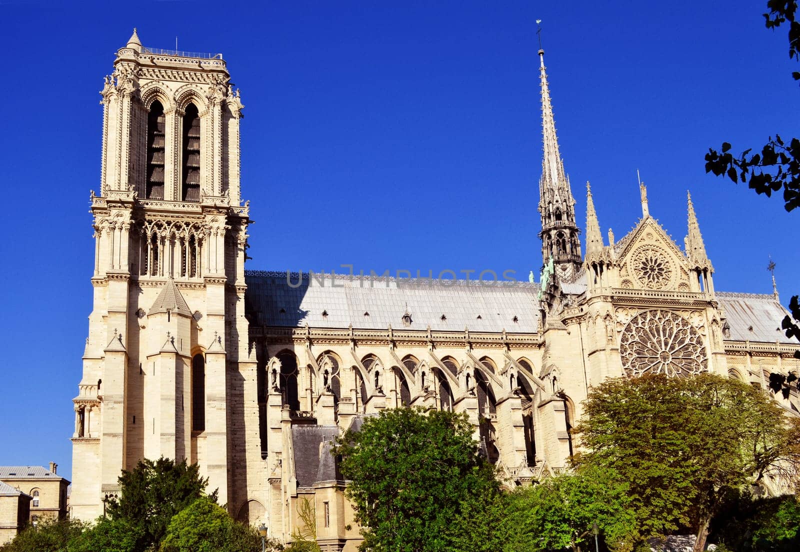 Notre-Dame Cathedral in Paris, France.