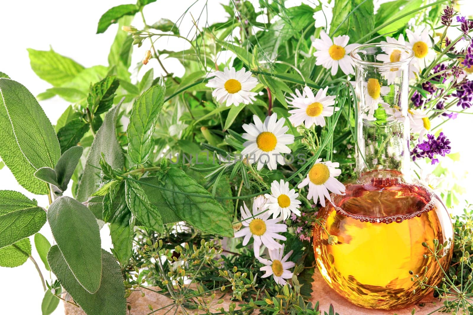 Homeopathy with herbs and medicinal plants