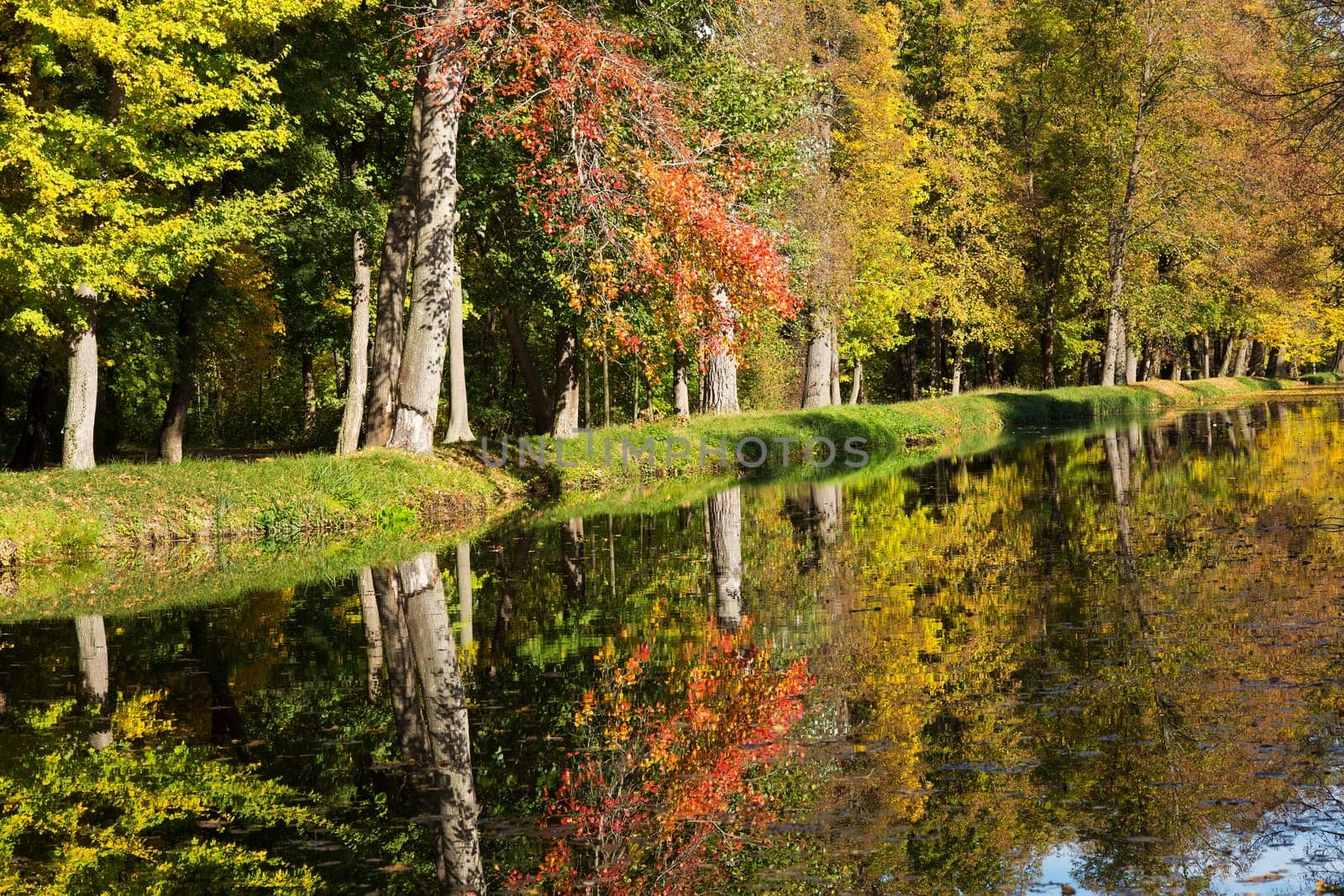 Colours in autumn,forest reflected in the water
