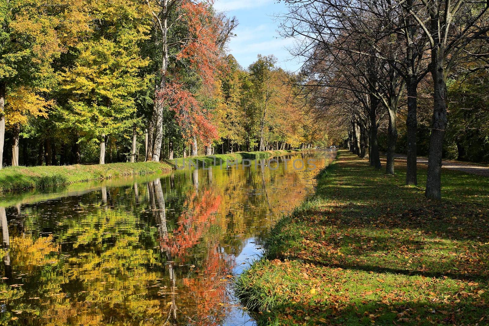 Colours in autumn,forest reflected in the water