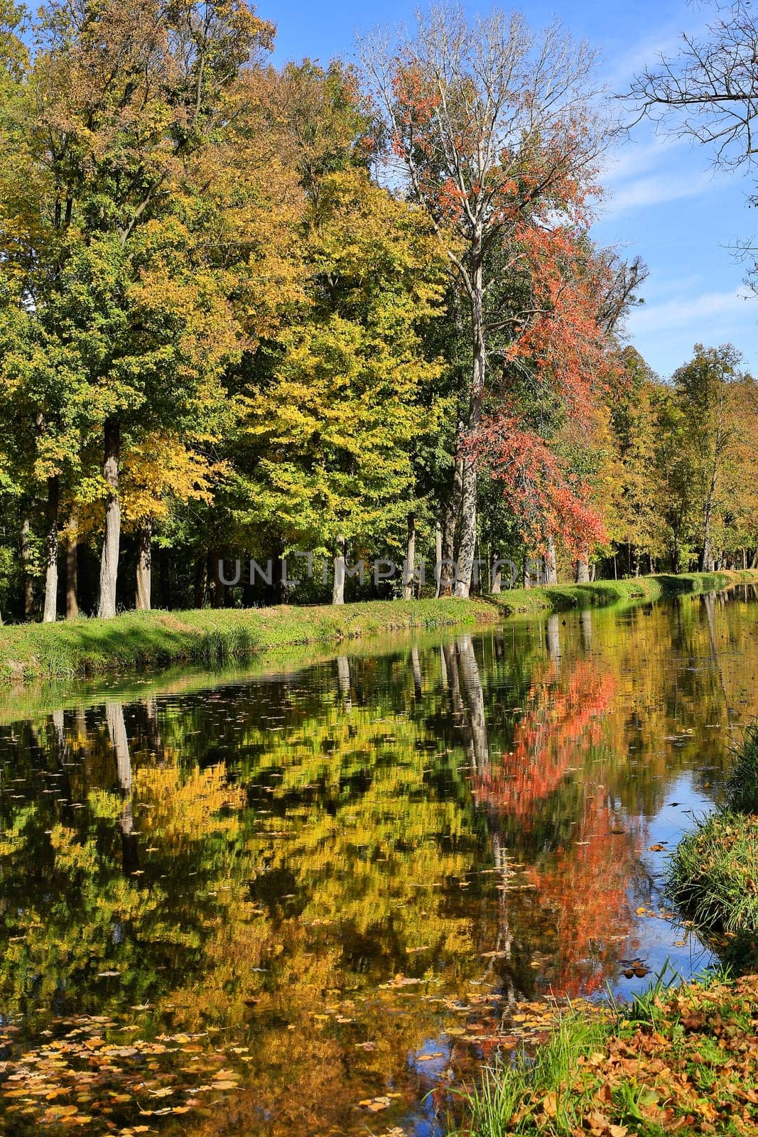 Colours in autumn,forest reflected in the water