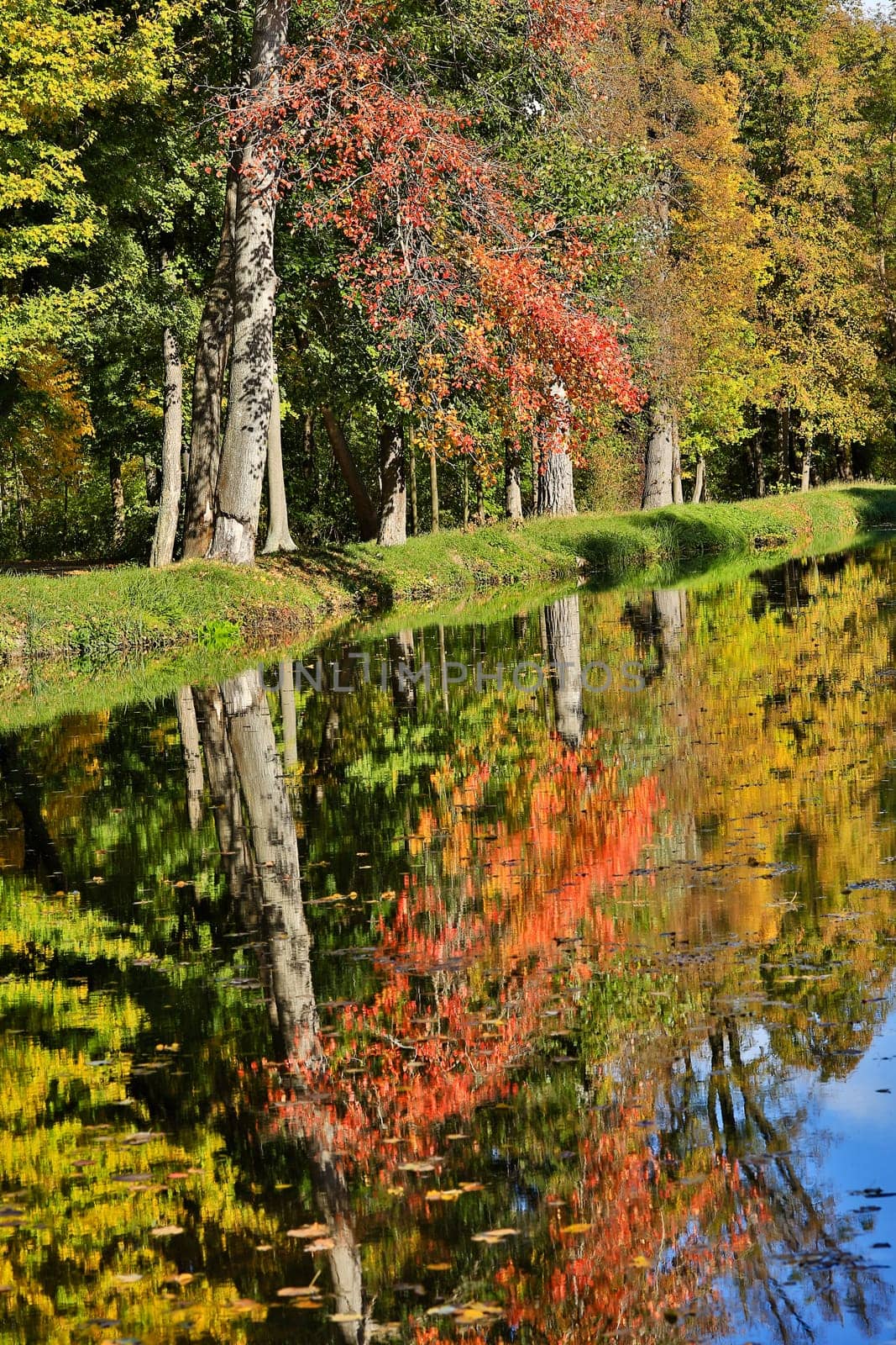 Colours in autumn,forest reflected in the water