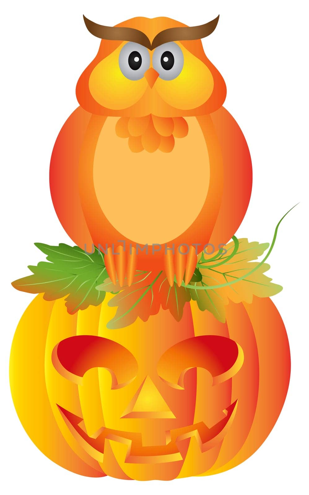 Happy Halloween Orange Fall Color Cartoon Owl Sitting on Jack O Lantern Carved Pumpkin Isolated on White Background Illustration