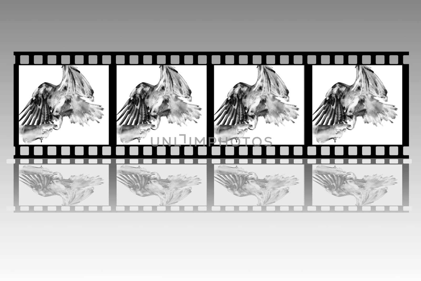 Negative film strip illustration