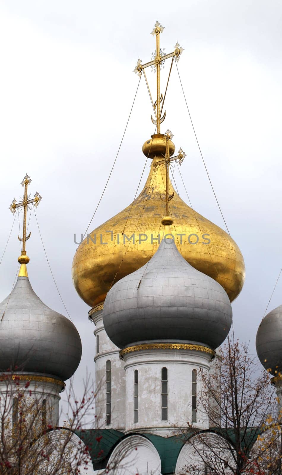 The domes of the Smolny Cathedral in Novodevichy Convent