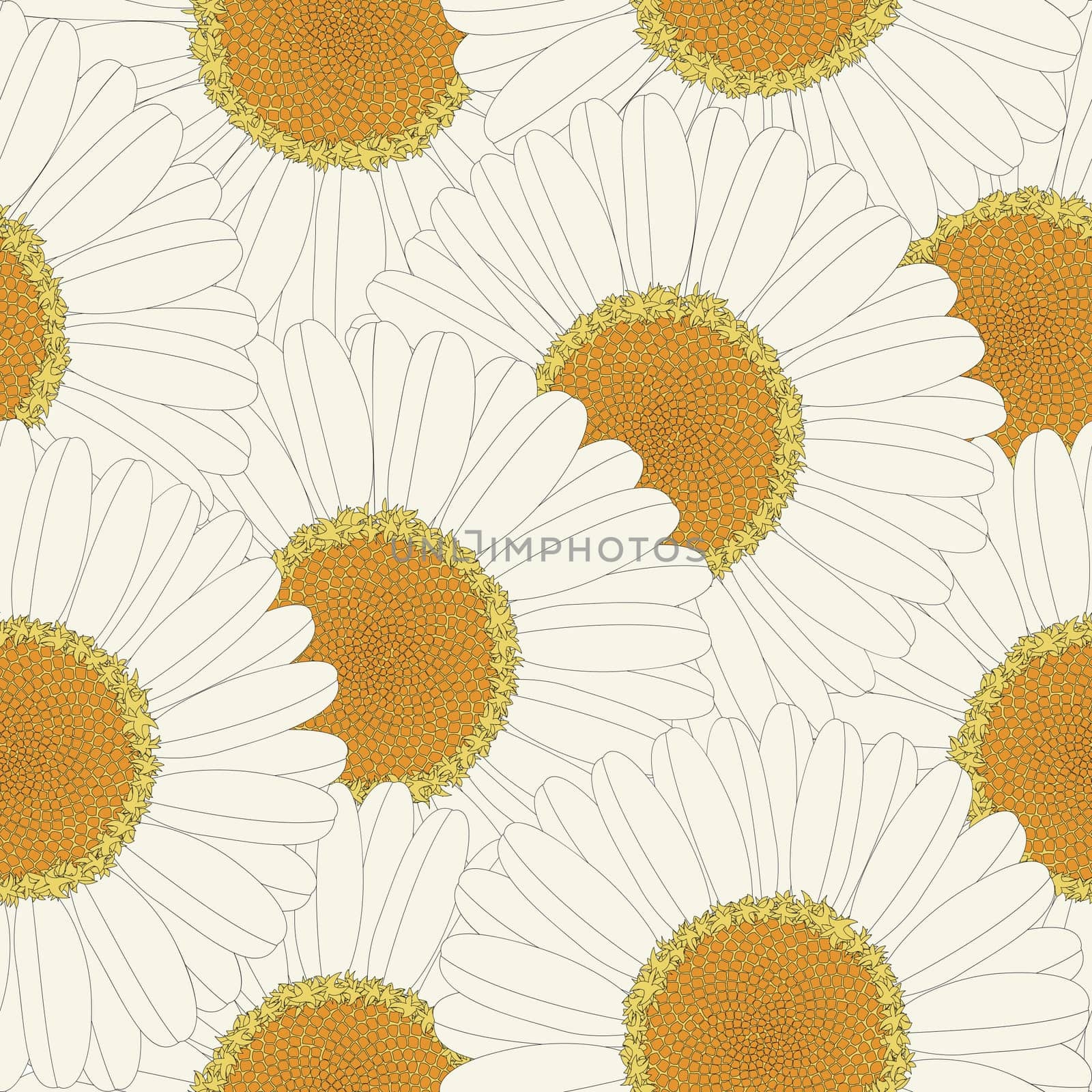Chamomile retro seamless pattern design