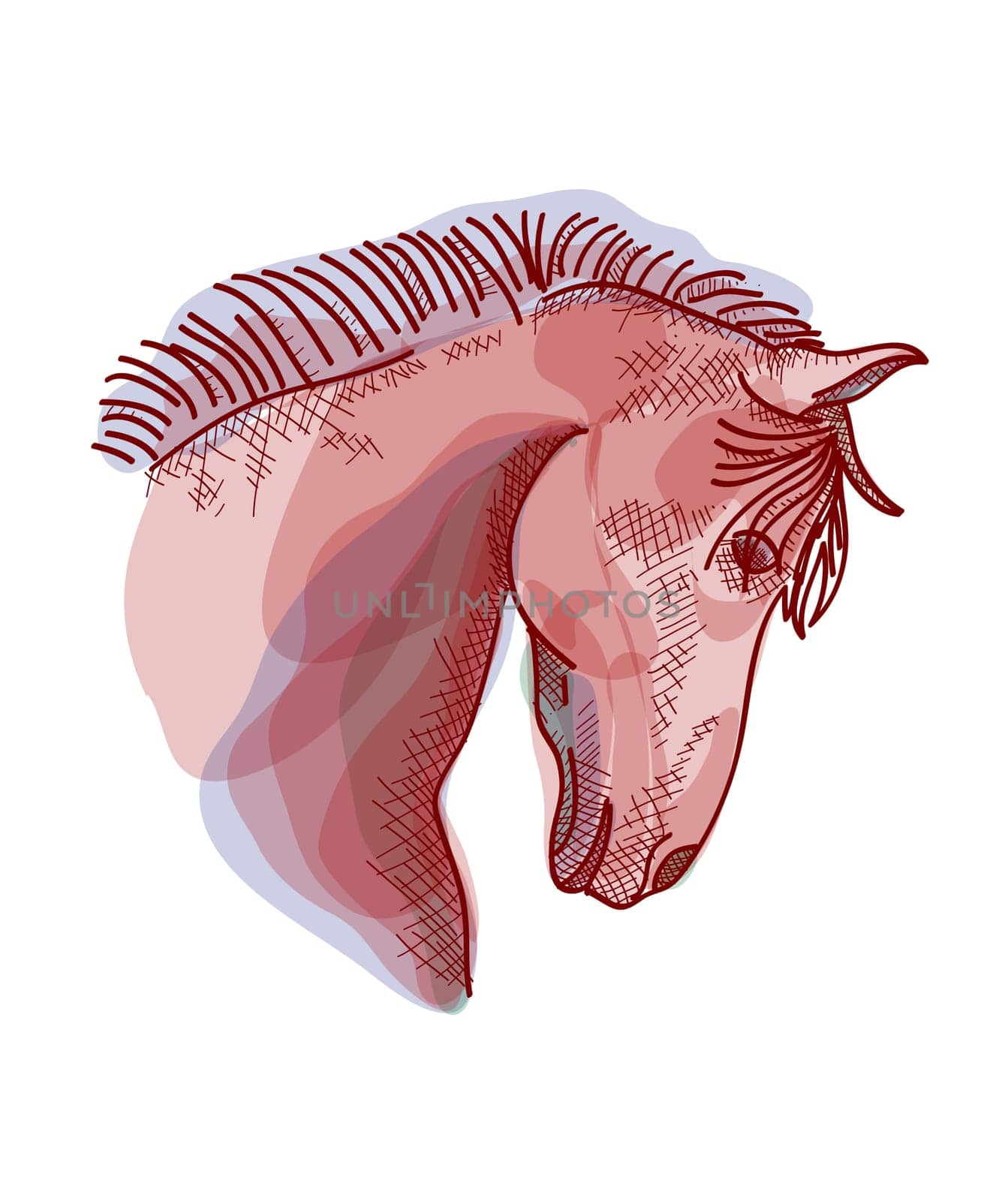 2014 Chinese New Year of the Horse hand drawn silhouette illustration. EPS10 vector file with transparency layers.