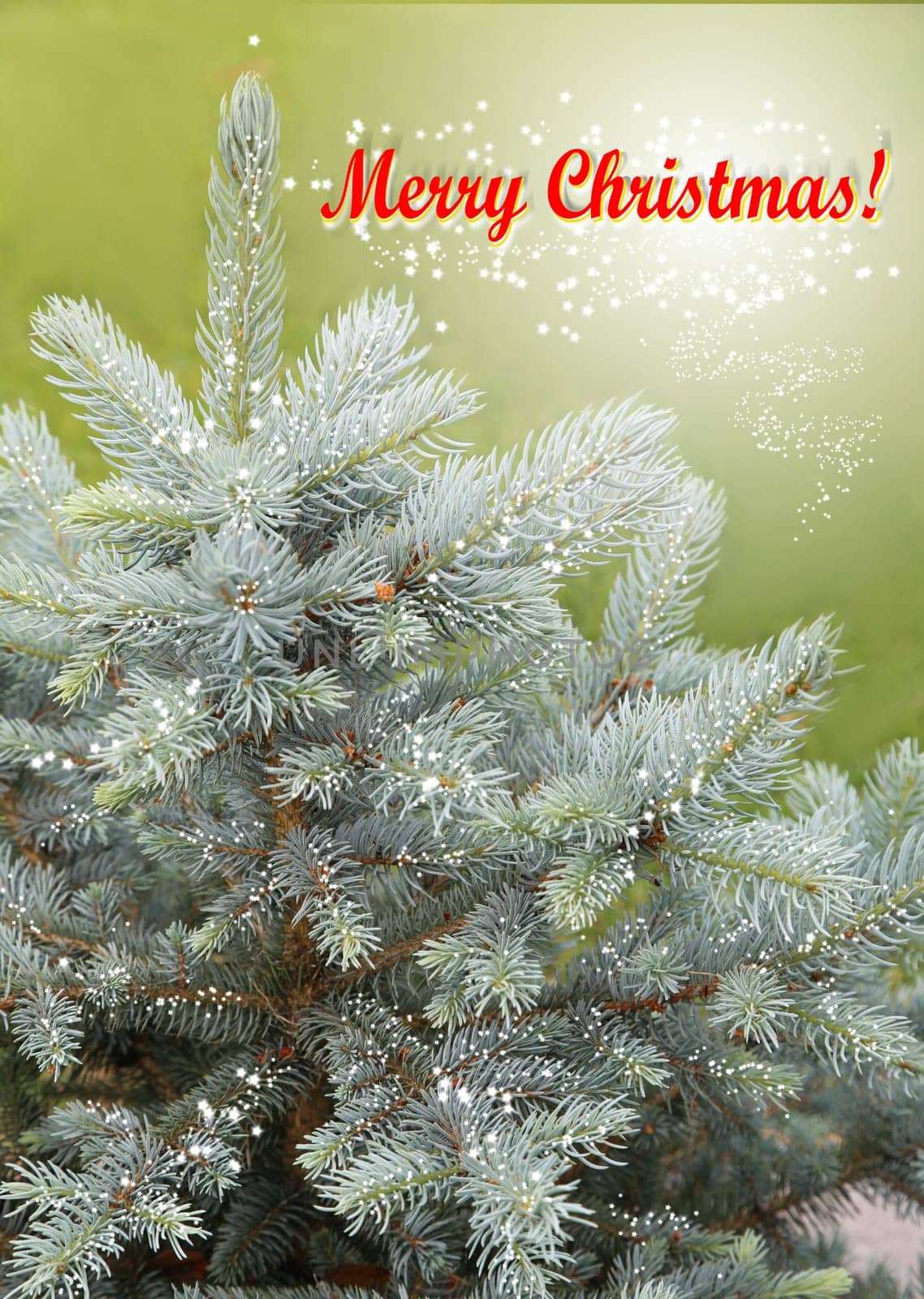 Christmas card with red text and blue spruce tree