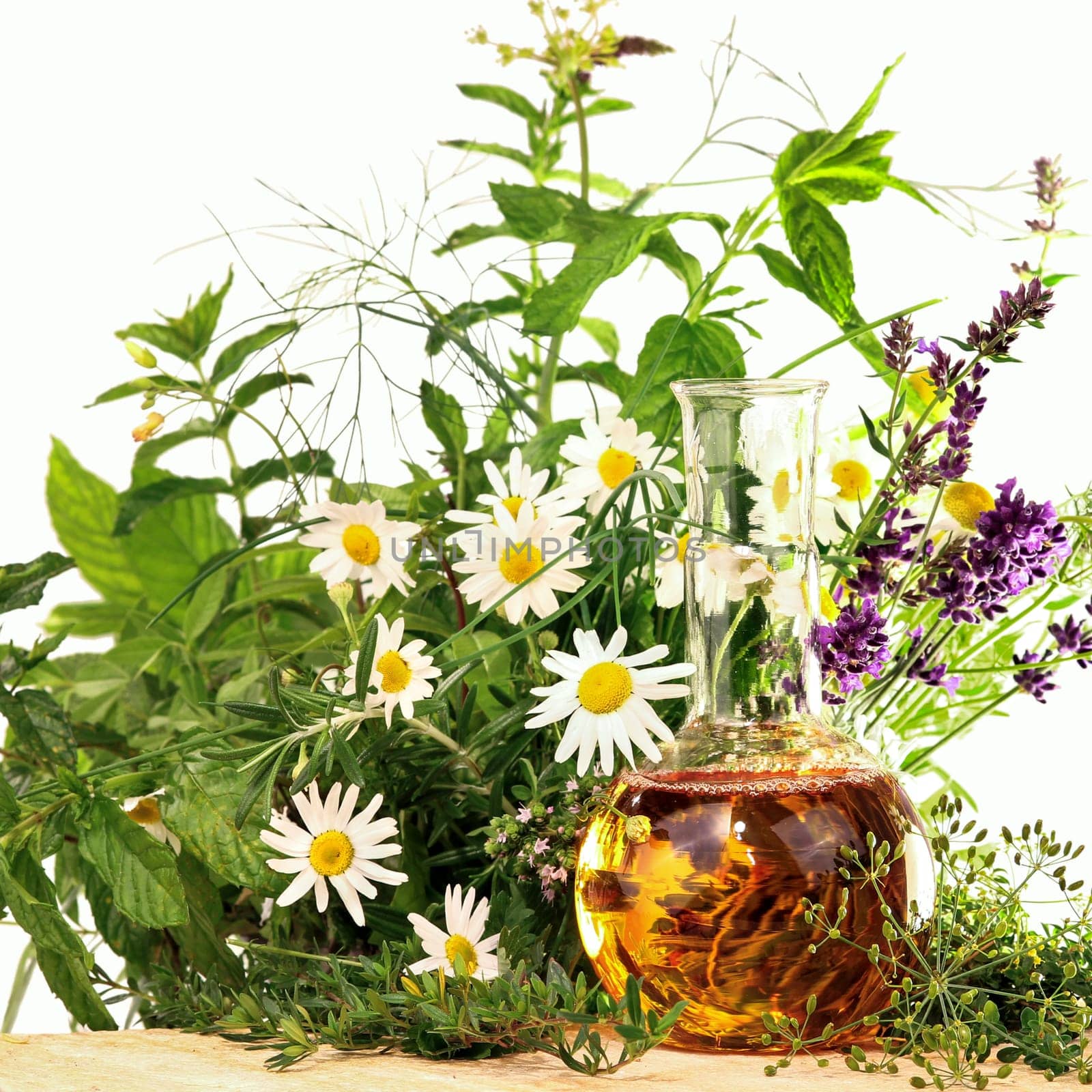 Homeopathy and cooking with herbs and medicinal plants