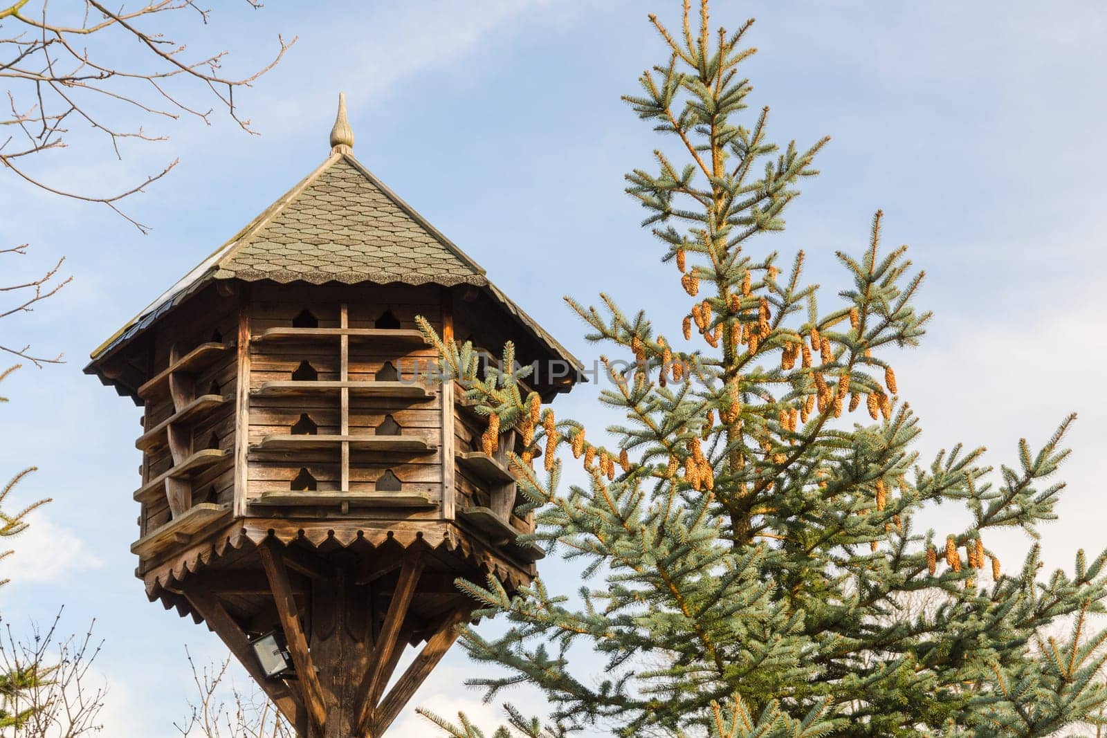 Handmade wooden nesting box and spruce with cones