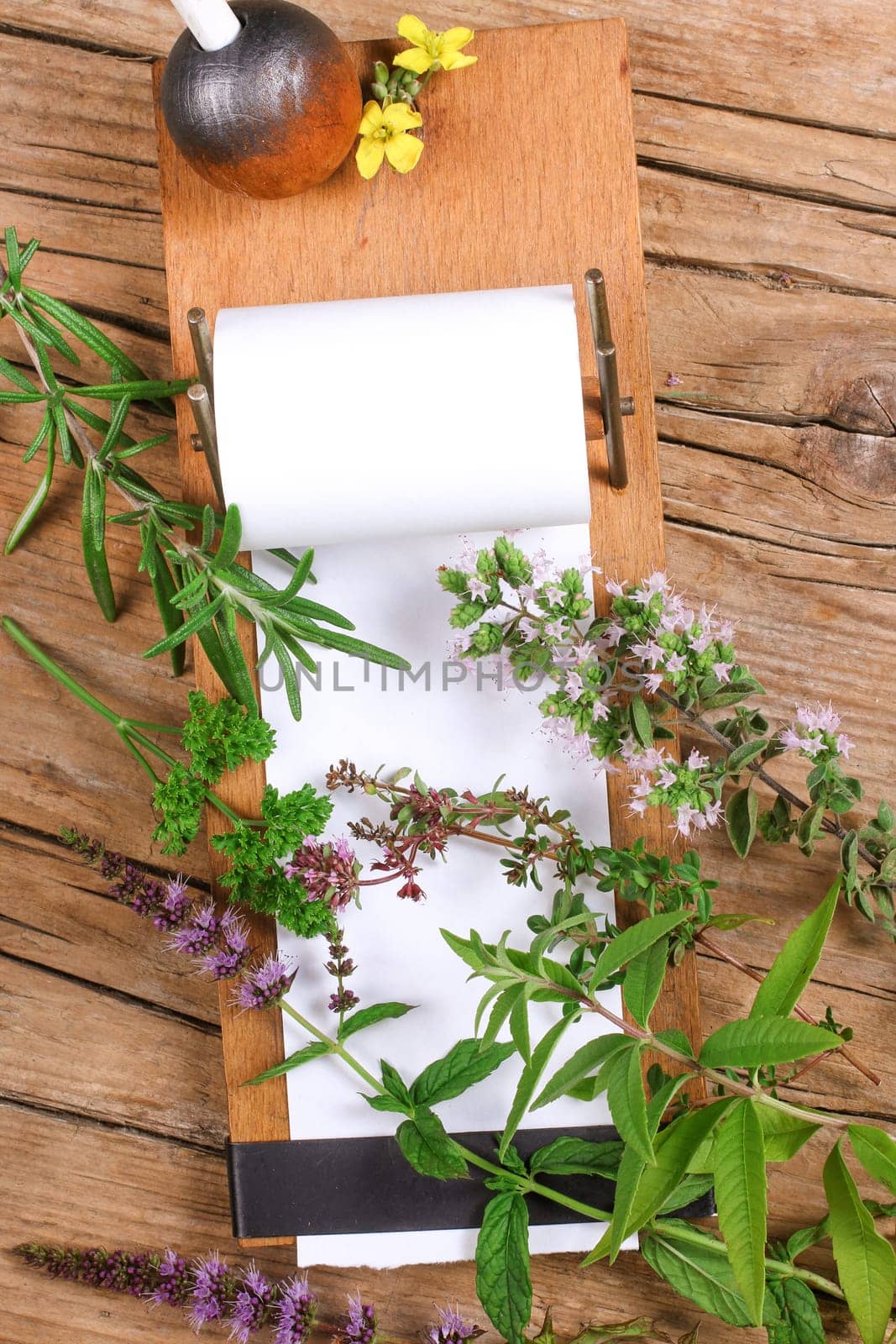 Notepad with different herbs