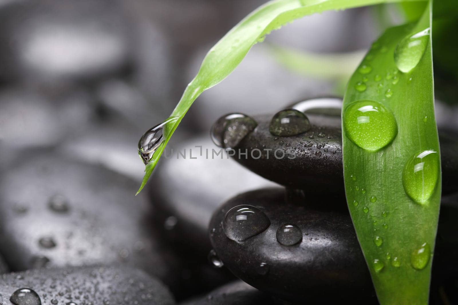Bamboo leaf with water droplets,hot stones