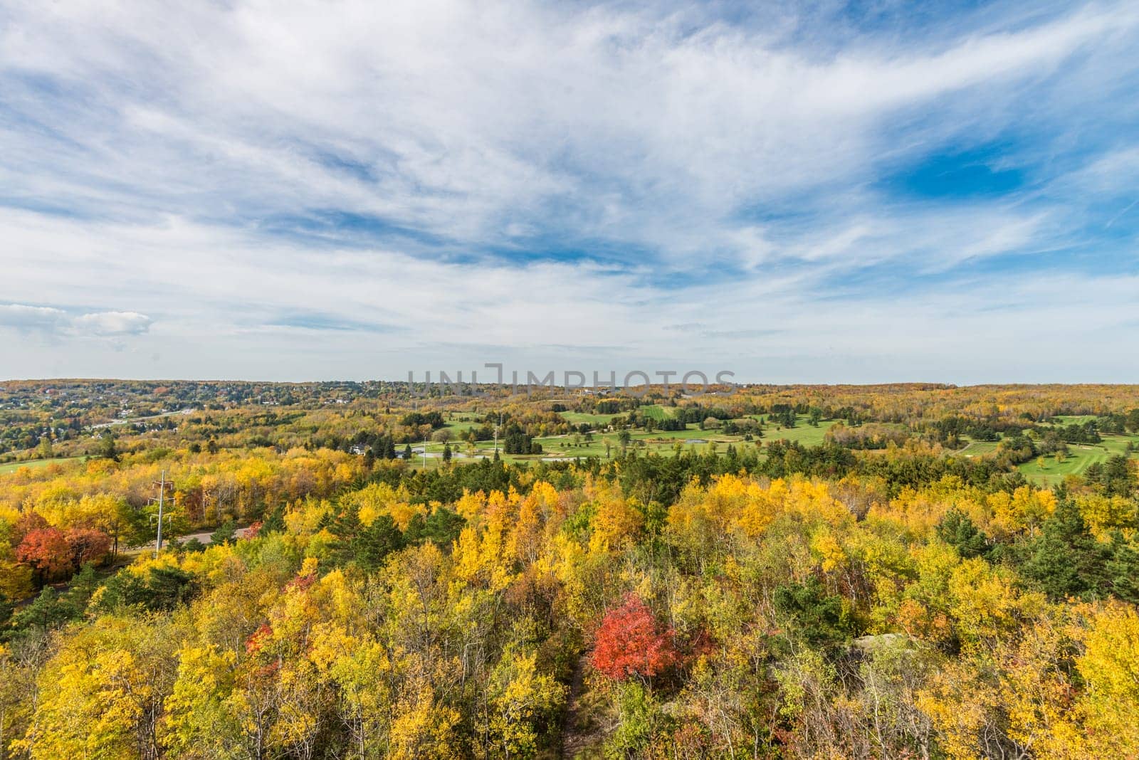 Autumn colored scene near harbor of Lake Superior