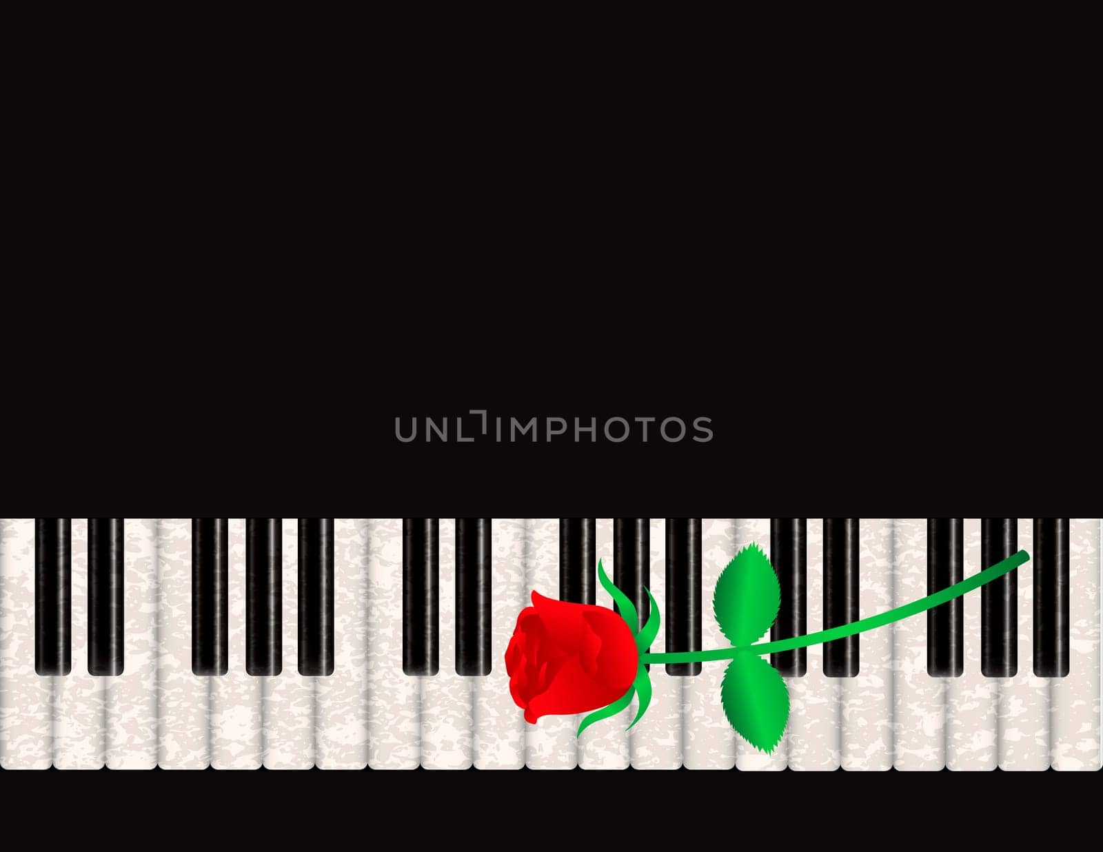 Piano Background with Red Rose Stalk and Textured Keyboard Illustration